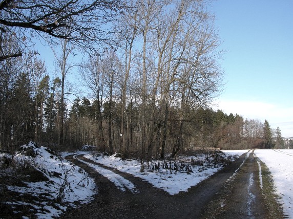 Zigeunerinsel